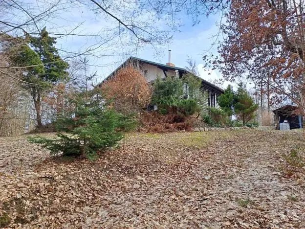 Prodej lesa, Slapy, 4059 m2