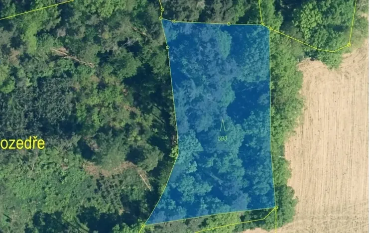 Dražba lesa, Hradiště, 2226 m2