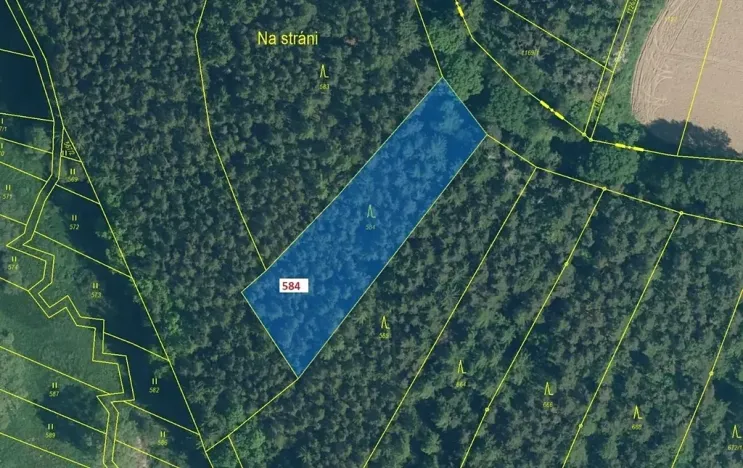 Dražba lesa, Kovčín, 2657 m2