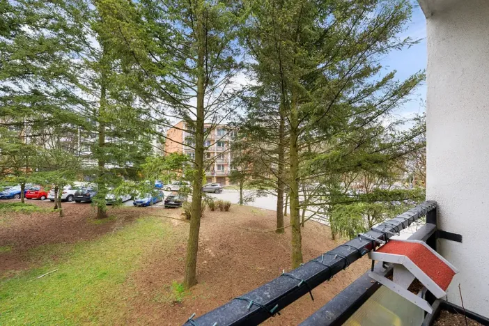 Prodej bytu 3+1, Brno, Poznaňská, 71 m2