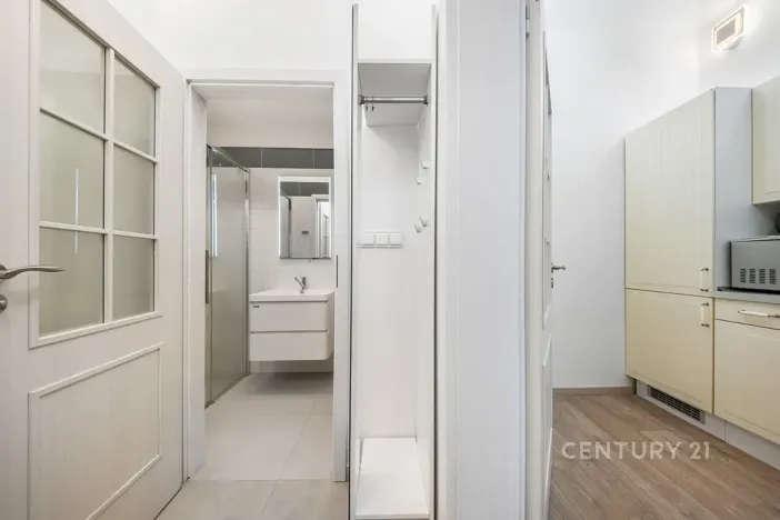 Pronájem bytu 1+1, Praha - Nové Město, Truhlářská, 38 m2