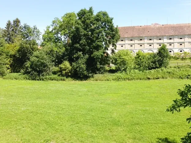 Dražba louky, Pluhův Žďár, 1974 m2