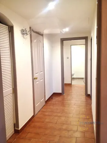 Prodej obchodního prostoru, Praha - Nusle, Na Jezerce, 74 m2