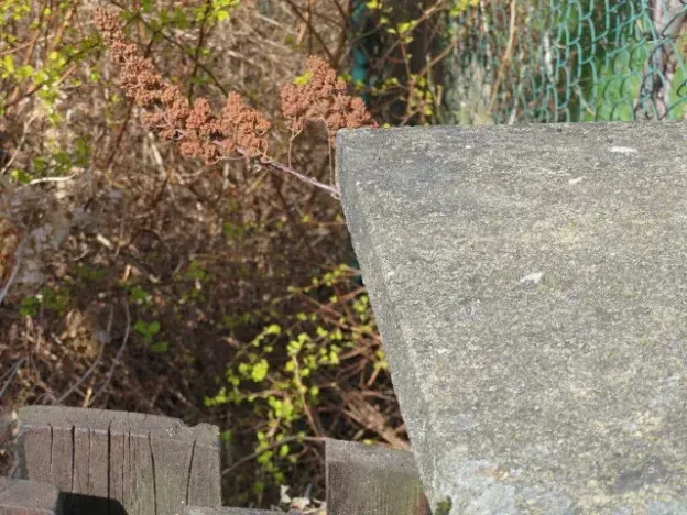 Dražba rodinného domu, Krásná Lípa, Nerudova, 315 m2