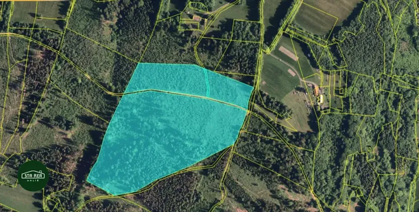 Prodej lesa, Krásná, 91919 m2
