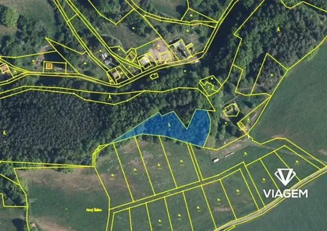 Prodej lesa, Zákupy, 2982 m2