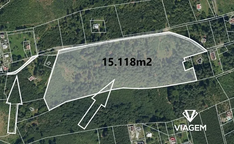 Prodej podílu lesa, Frýdlant nad Ostravicí, 15401 m2