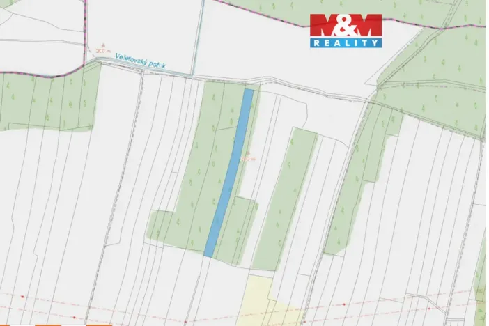 Prodej lesa, Veletov, 5891 m2