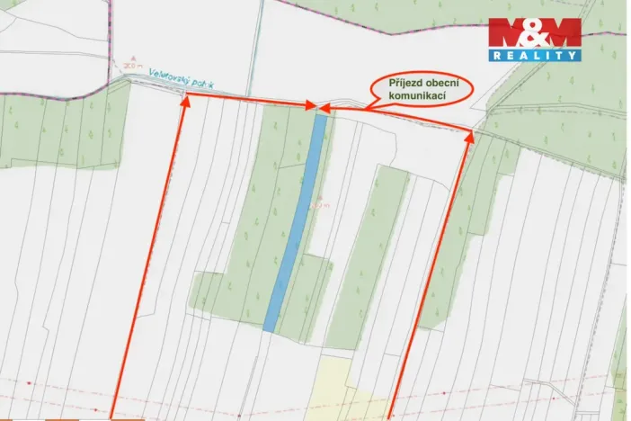 Prodej lesa, Veletov, 5891 m2