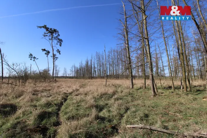 Prodej lesa, Veletov, 5891 m2