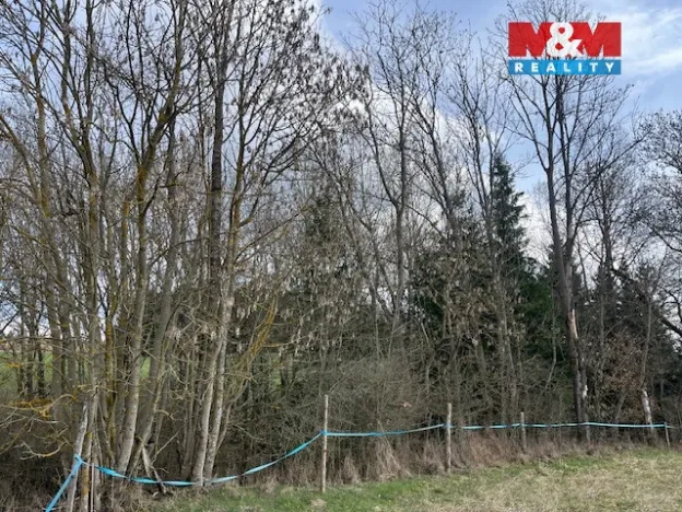 Prodej lesa, Košťálov - Kundratice, 11072 m2