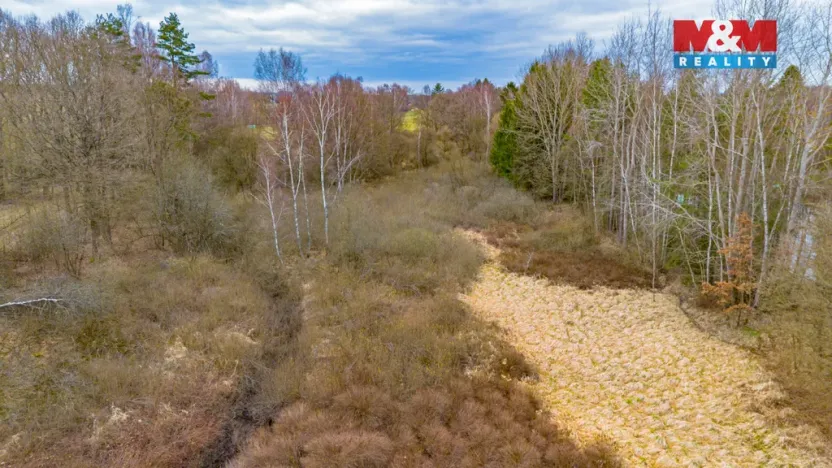 Prodej rybníku, Dvory nad Lužnicí, 8649 m2