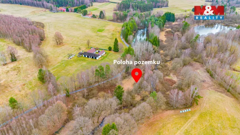 Prodej rybníku, Dvory nad Lužnicí, 8649 m2