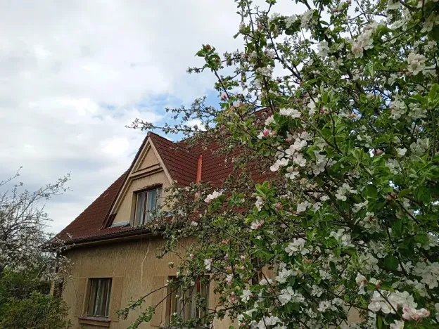 Prodej rodinného domu, Měchenice, 240 m2