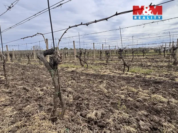 Prodej pole, Velké Bílovice, 3600 m2