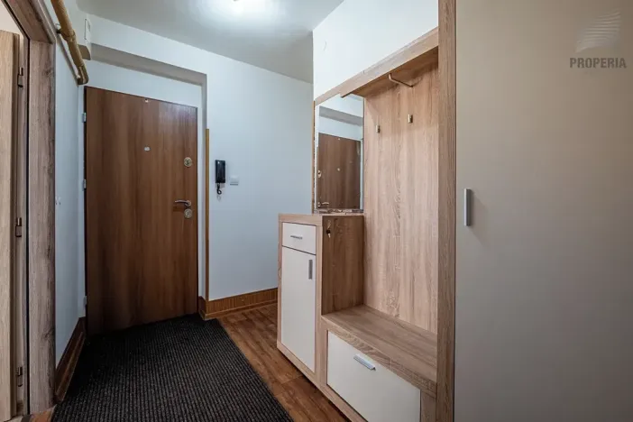 Prodej bytu 2+1, Brno, Opavská, 54 m2