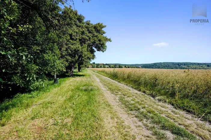 Prodej pozemku pro bydlení, Viničné Šumice, 1649 m2