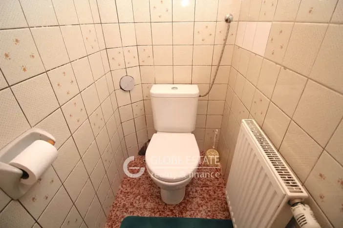 Prodej rodinného domu, Nehvizdy, Jirenská, 329 m2