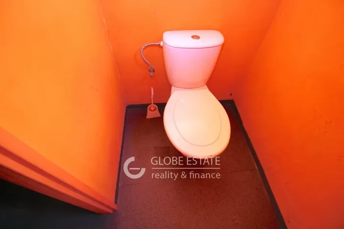 Prodej obchodního prostoru, Úpice, Palackého, 1705 m2