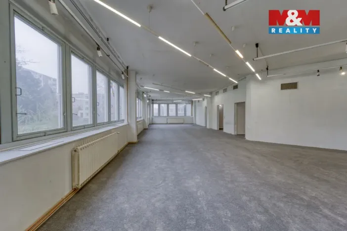 Pronájem výrobních prostor, Plzeň - Severní Předměstí, alej Svobody, 641 m2