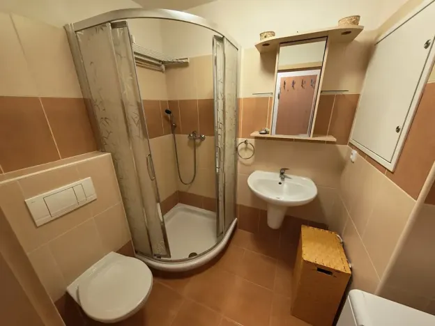 Pronájem bytu 1+kk, Zlín, Zelinova, 36 m2