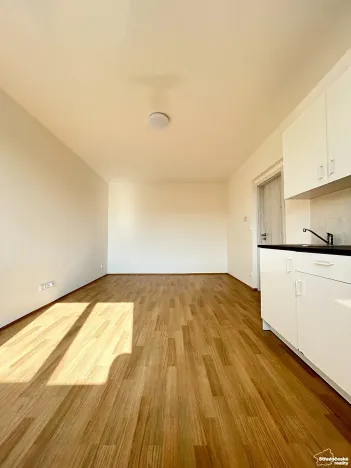 Prodej bytu 1+kk, Mšené-lázně, Mládežnická, 34 m2