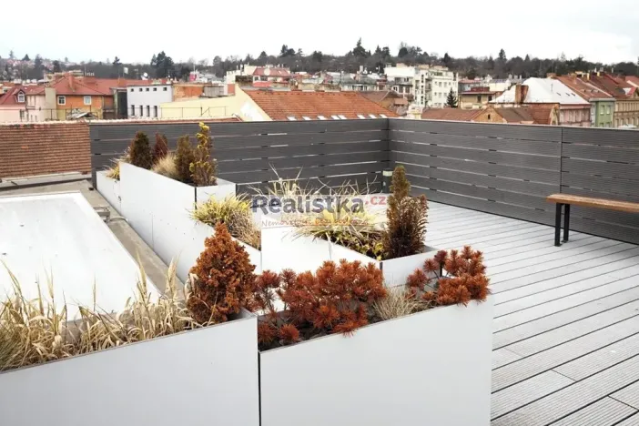 Pronájem bytu 1+kk, Brno, Údolní, 43 m2