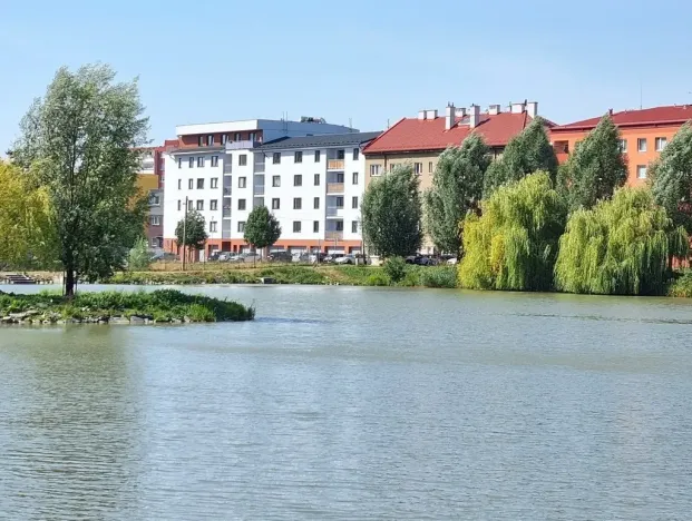 Prodej bytu 1+kk, Hranice, Jiřího z Poděbrad, 36 m2