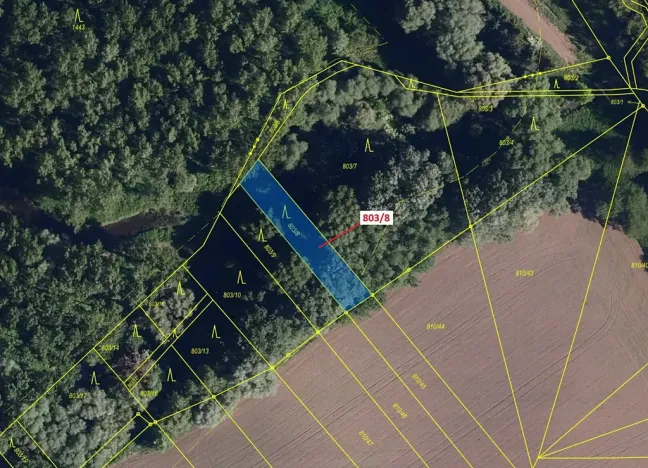 Dražba lesa, Přísnotice, 574 m2