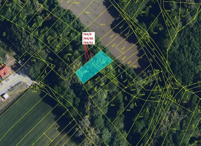 Dražba lesa, Přísnotice, 702 m2