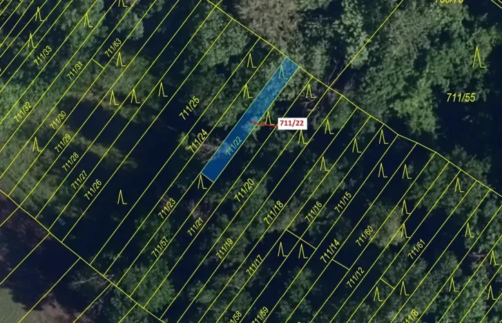 Dražba lesa, Přísnotice, 89 m2