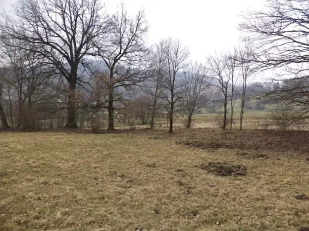 Dražba pozemku, Česká Kamenice, 5161 m2