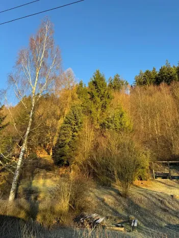 Prodej lesa, Huslenky, 1784 m2