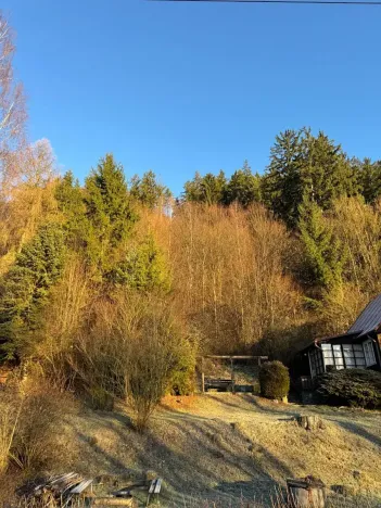 Prodej lesa, Huslenky, 1784 m2