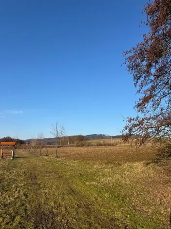 Prodej lesa, Nový Malín, 8466 m2