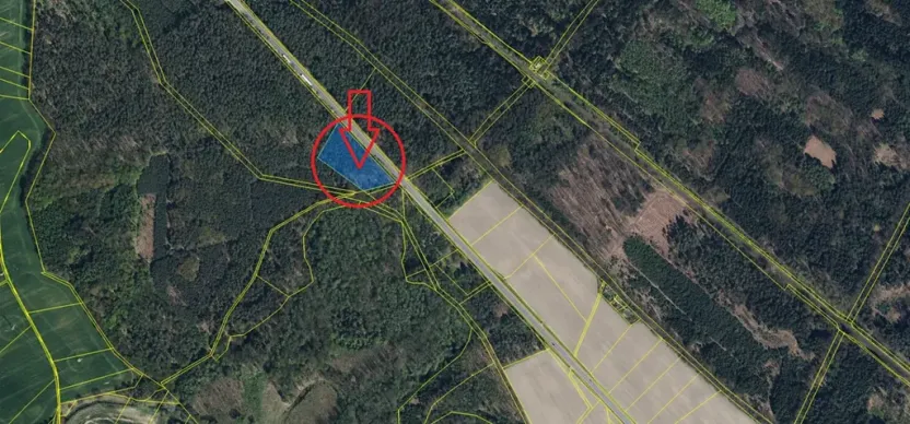 Prodej lesa, Týniště nad Orlicí, 6788 m2