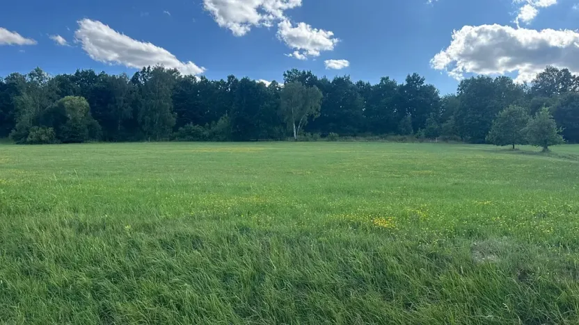 Prodej pozemku pro bydlení, Albrechtice nad Vltavou, 5665 m2