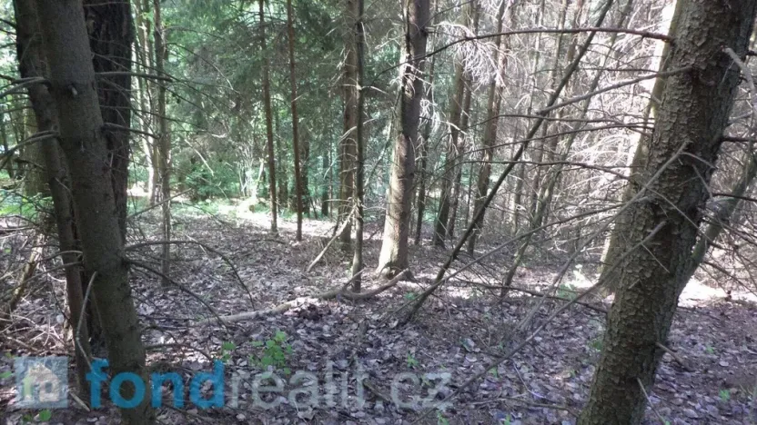 Prodej pozemku, Dolní Dobrouč, 4634 m2