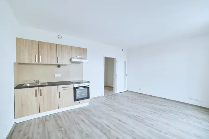 Pronájem bytu 1+kk, Plzeň, Rejskova, 38 m2