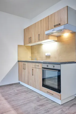 Pronájem bytu 1+kk, Plzeň, Rejskova, 38 m2