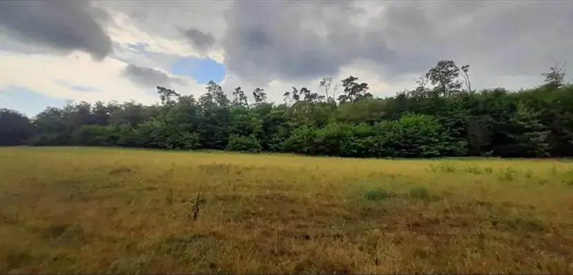 Prodej lesa, Týnec nad Labem, 7501 m2