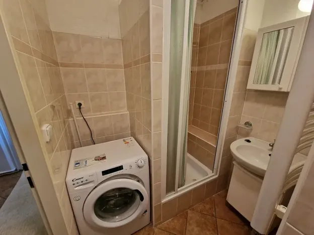 Pronájem bytu 1+1, Brno, Božetěchova, 46 m2