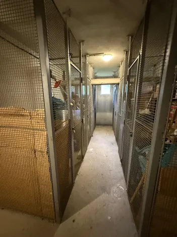 Prodej bytu 3+1, Olomouc - Nová Ulice, Brněnská, 76 m2