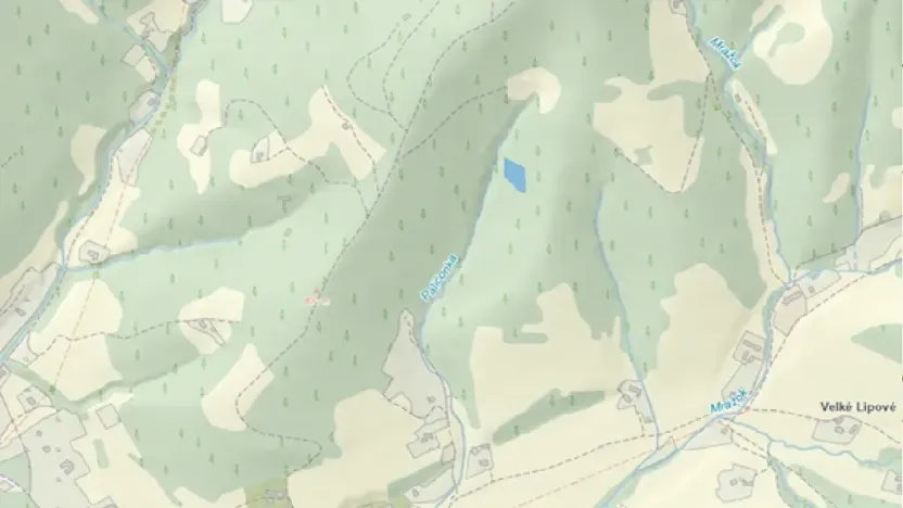 Dražba lesa, Morávka, 57384 m2