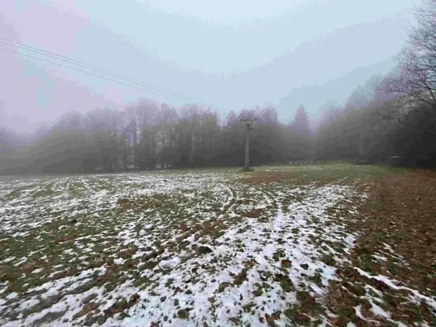 Dražba pole, Mrákotín, 2398 m2