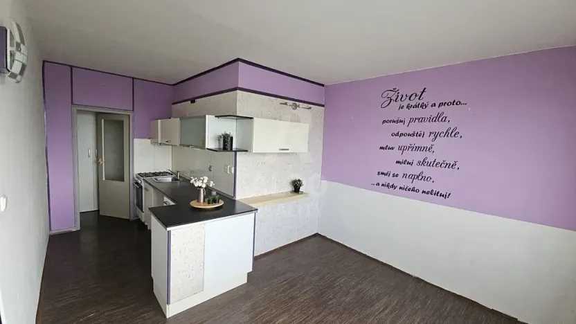 Prodej bytu 1+1, České Budějovice, Čéčova, 51 m2