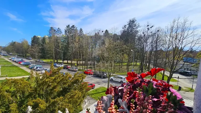 Prodej bytu 3+1, České Budějovice, Průběžná, 90 m2