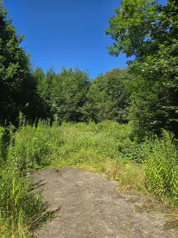 Prodej komerčního pozemku, Hodkovice nad Mohelkou, 6702 m2