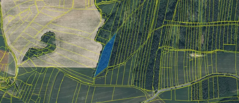 Prodej lesa, Blížejov - Lštění, 7793 m2