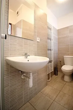 Pronájem bytu 1+kk, Brno, Koliště, 26 m2